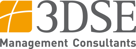 3DSE Management Consultants